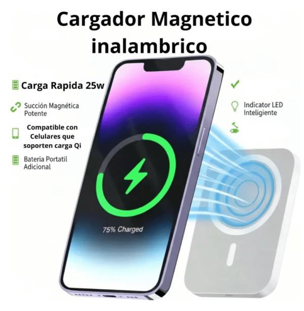Cargador 25W